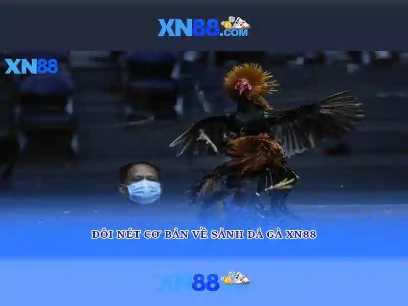Trách nhiệm và chơi có trách nhiệm