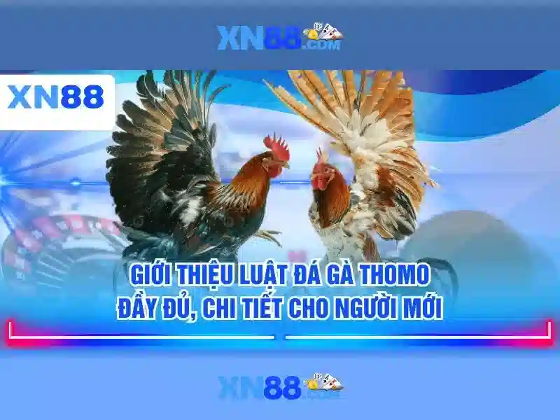 Tai-xiu_xn88