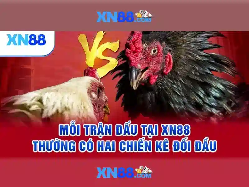 xn88 - Tổng quan về nền tảng cá cược và trò chơi trực tuyến