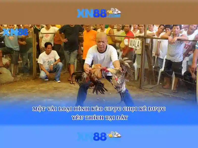 Lịch sử và nguồn gốc
