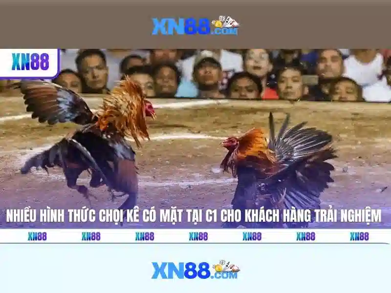 Giới thiệu về xn88
