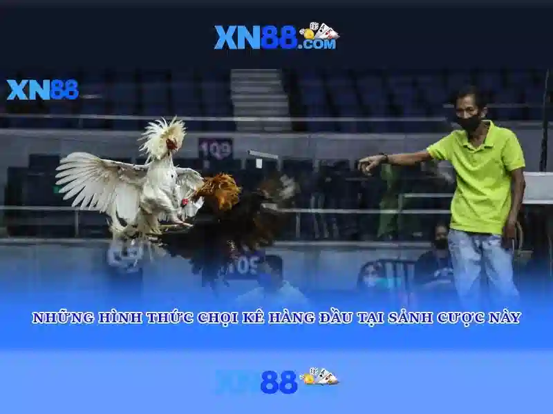 Nguồn gốc và ý nghĩa tên XN88