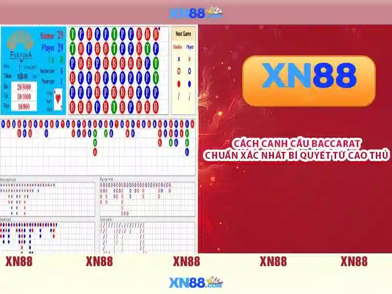 XN88 - Nền tảng giải trí trực tuyến và trò chơi uy tín