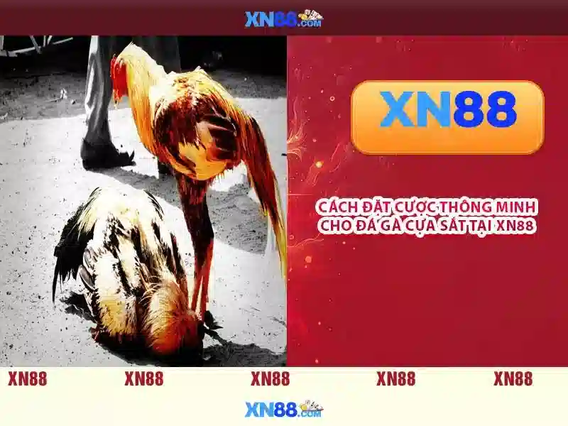 Lịch sử và phát triển của xn88