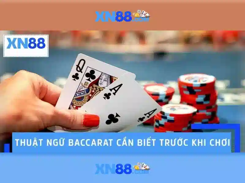 Lịch sử và phát triển