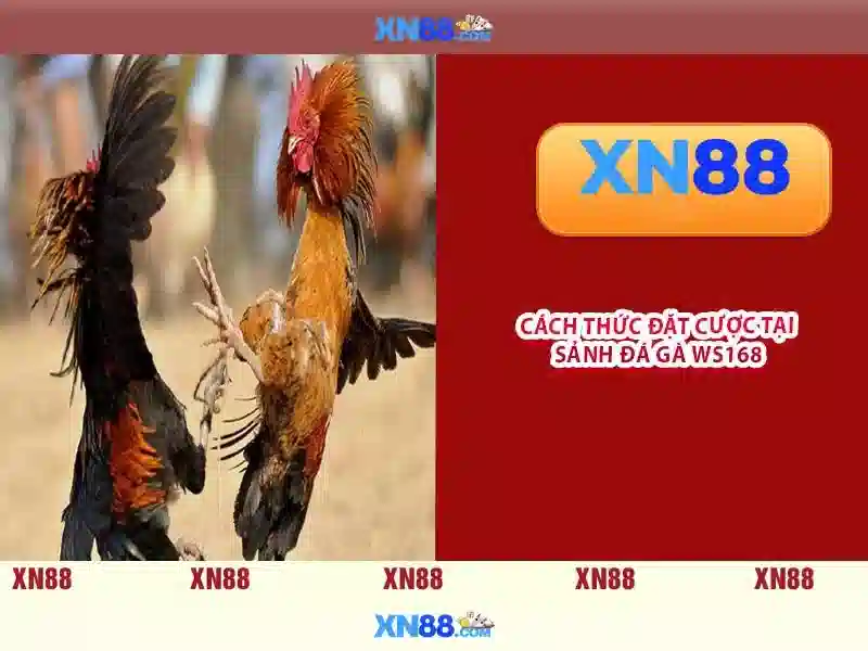 An toàn và bảo mật trên xn88
