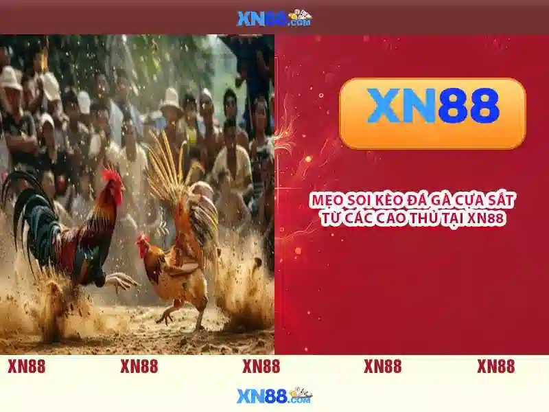Giới thiệu về xn88: Nền tảng cá cược và giải trí trực tuyến