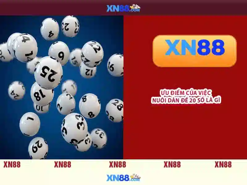 Góc nhìn tổng quan về xn88