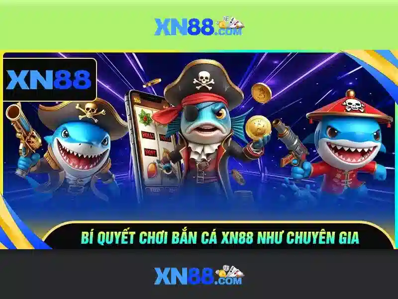 xn88: Đánh giá và hướng dẫn cơ bản