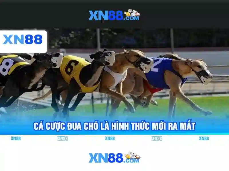 Khuyến mãi an toàn và bảo mật