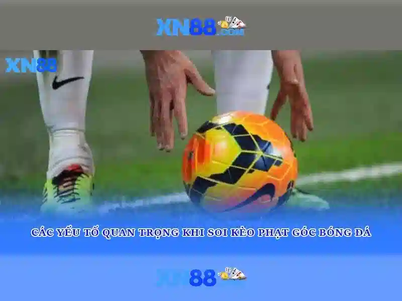 xn88: Giới thiệu và hướng dẫn cơ bản