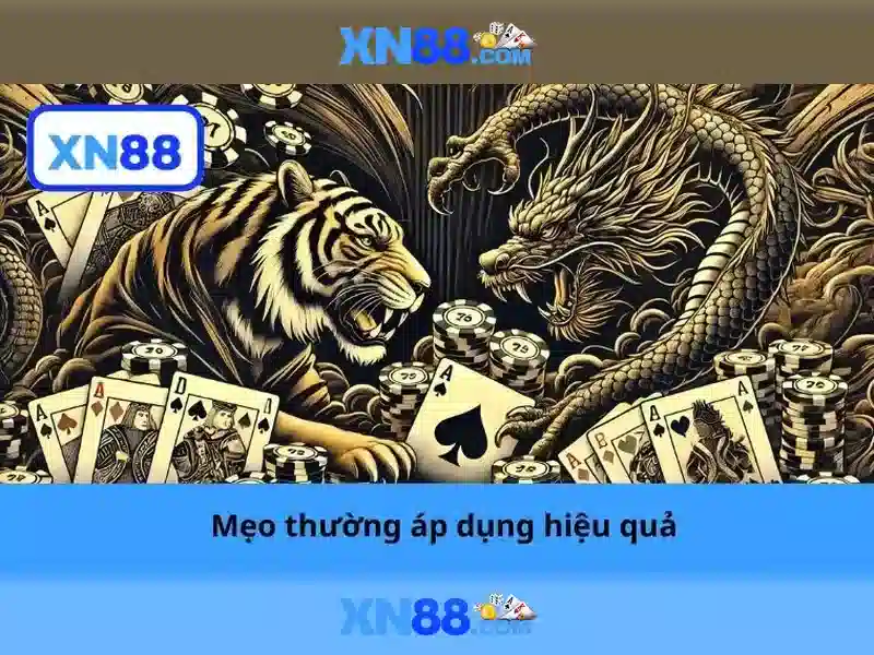 xn88 là gì và tại sao được quan tâm