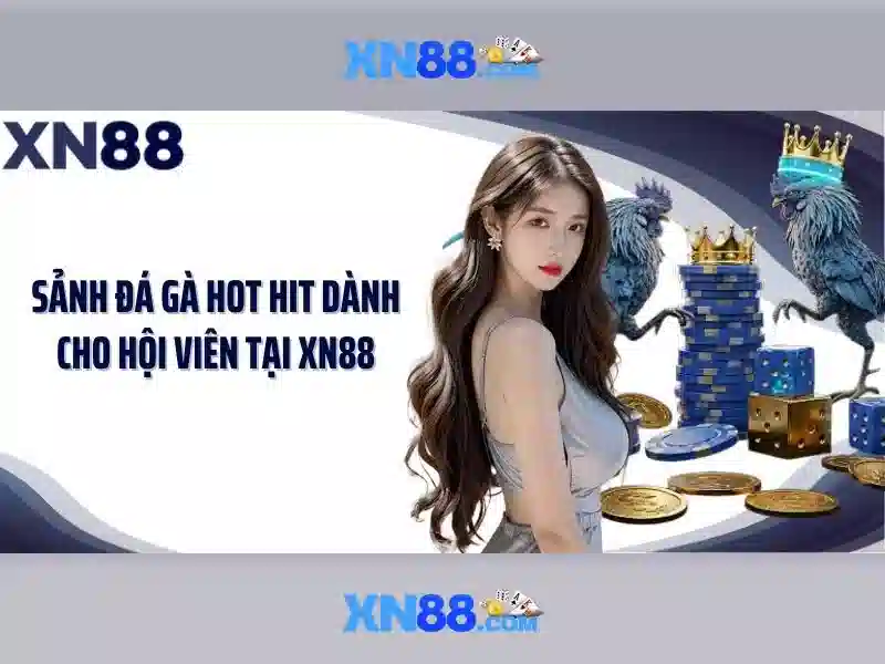 Giới thiệu về xn88