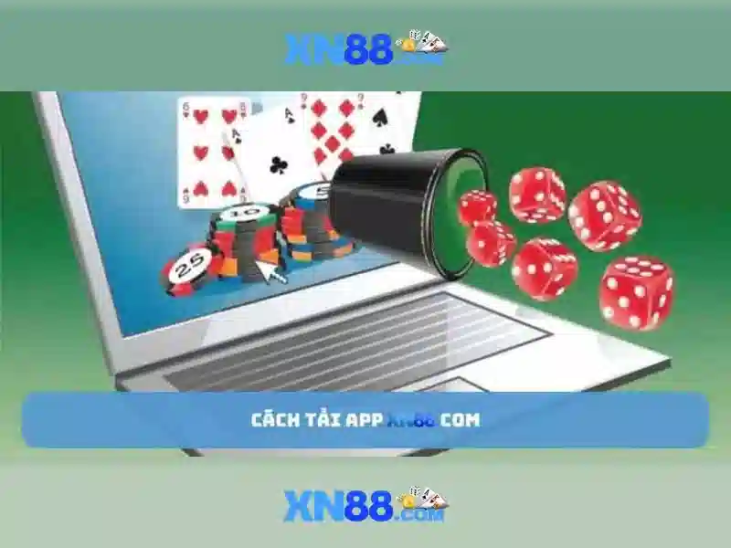 Nền tảng và giao diện người dùng