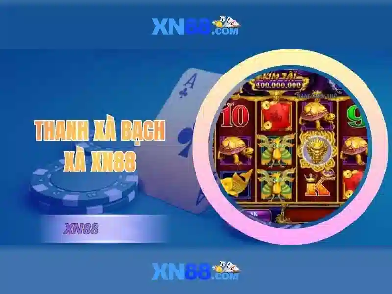 Đánh giá tổng thể và tương lai của xn88