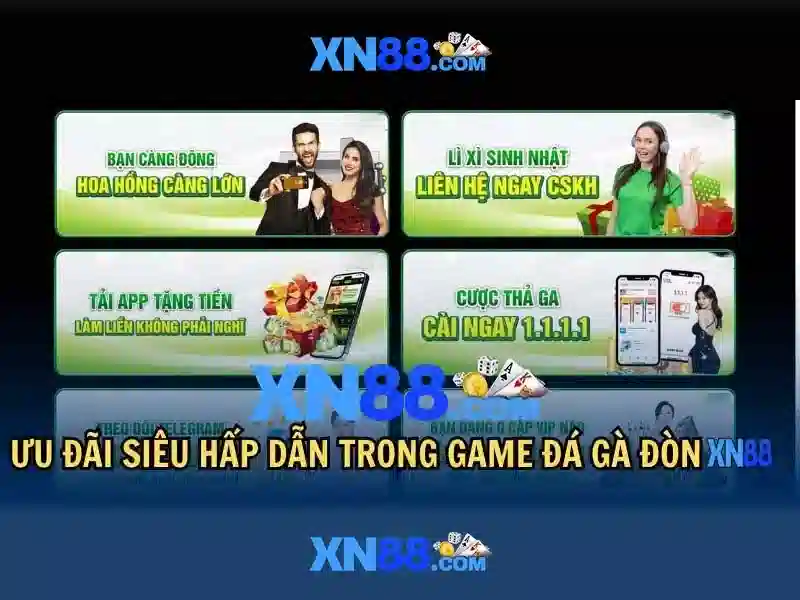 Xn88: Khám phá nền tảng và cộng đồng