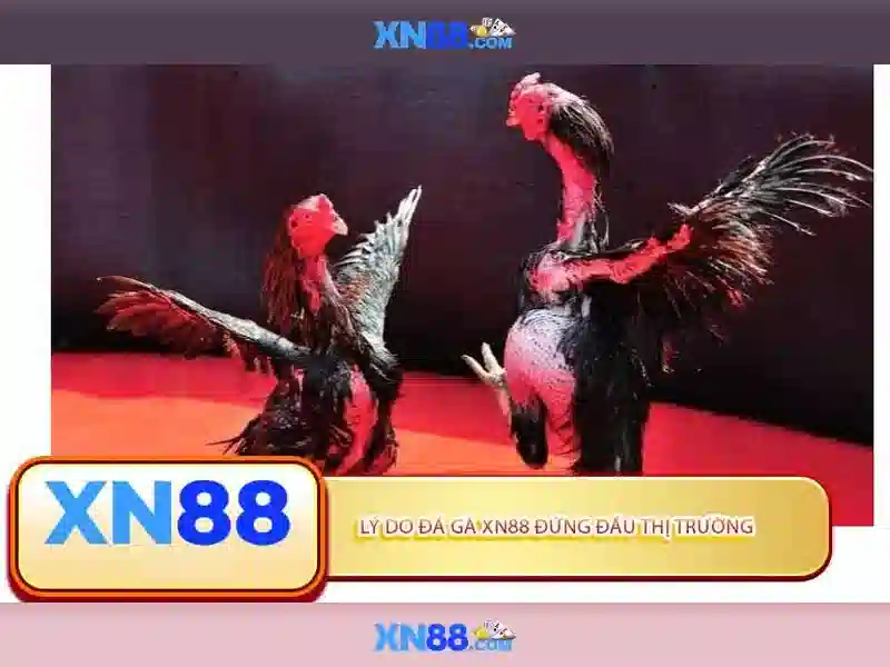 An toàn và bảo mật