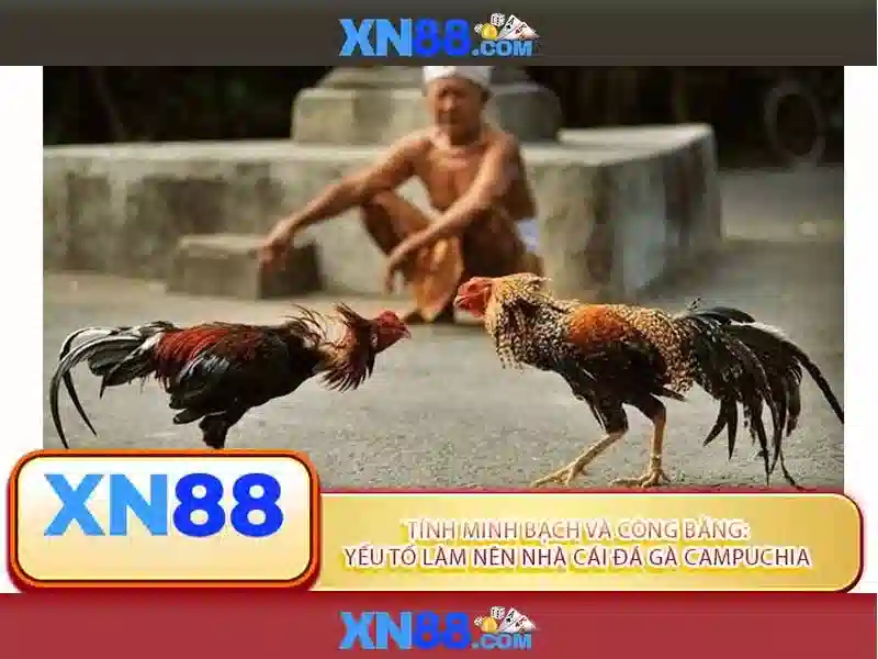Xn88: Tổng quan về nền tảng giải trí trực tuyến