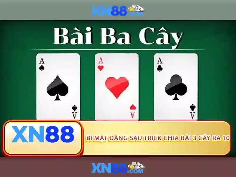 Trải nghiệm người dùng và hỗ trợ khách hàng