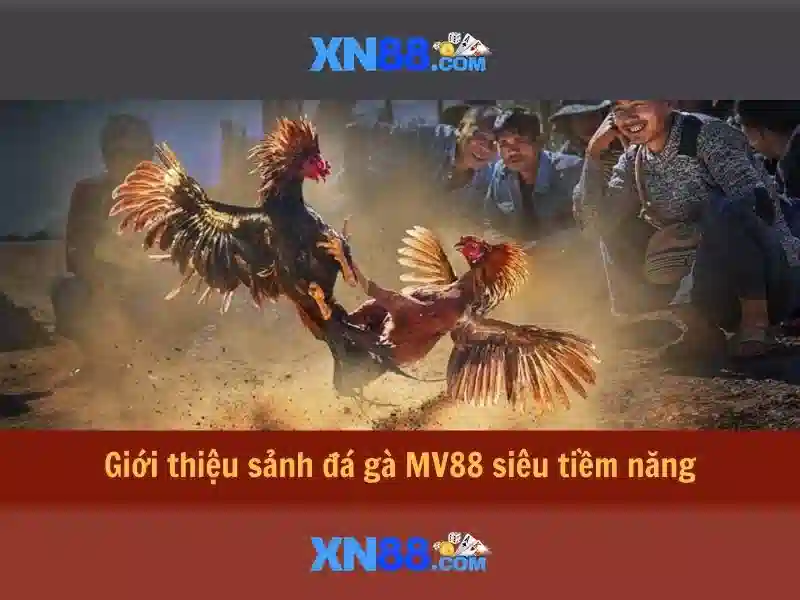 xn88: Nền tảng cược trực tuyến an toàn và tiện lợi
