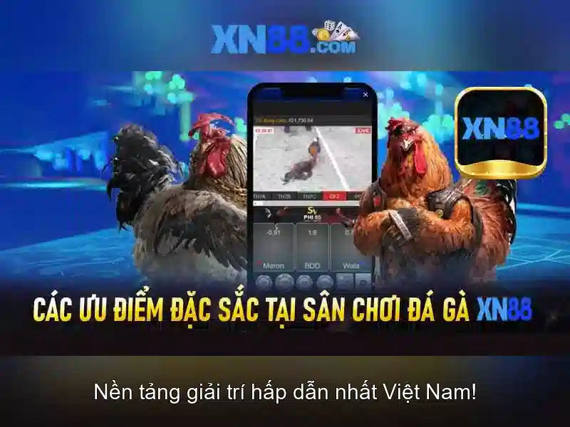 Giới thiệu về xn88