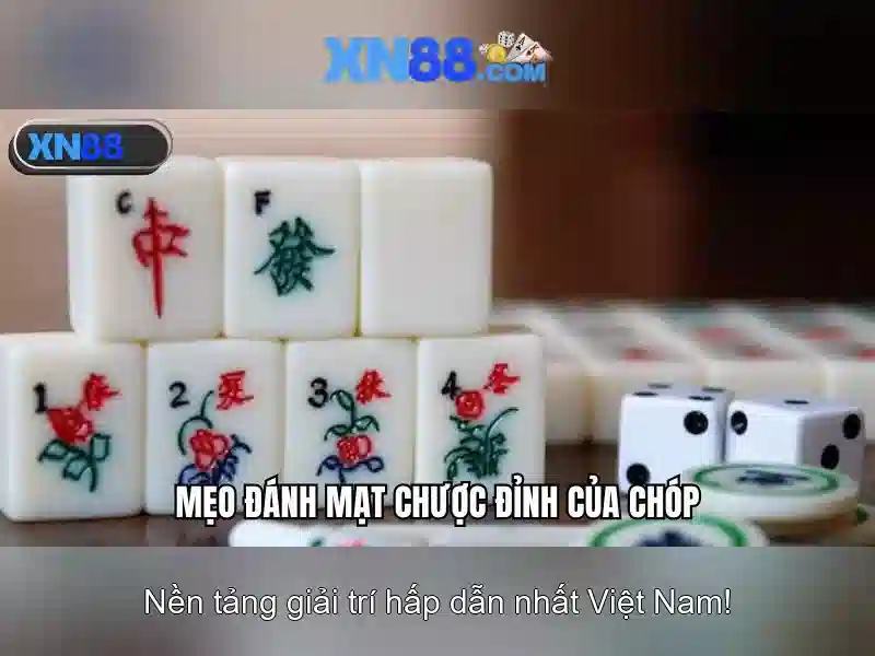 Các sản phẩm và dịch vụ