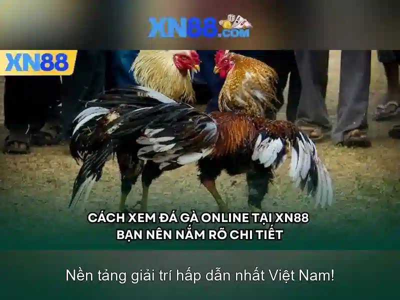 An toàn và bảo mật