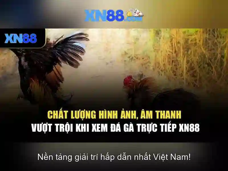 Những trò chơi nổi bật