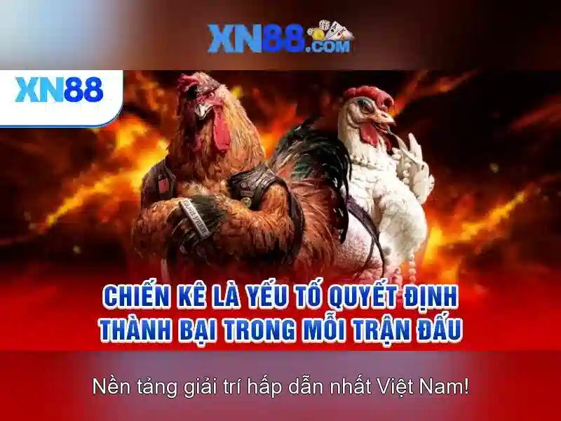 Cách tham gia và thanh toán