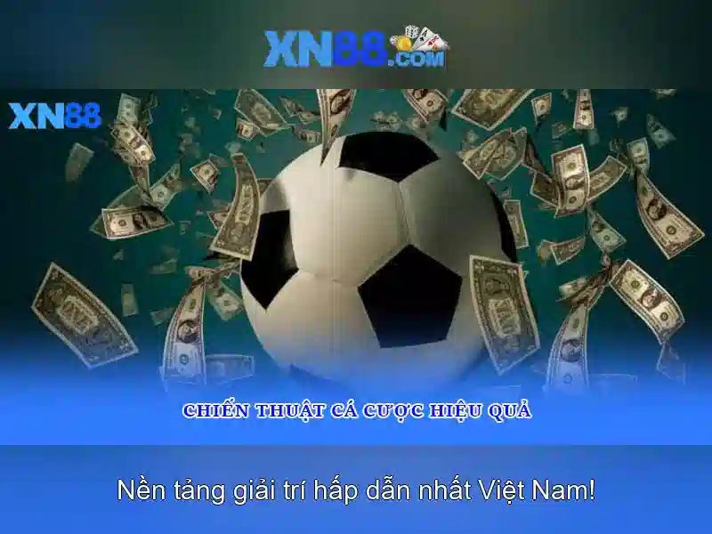 Giới thiệu về xn88