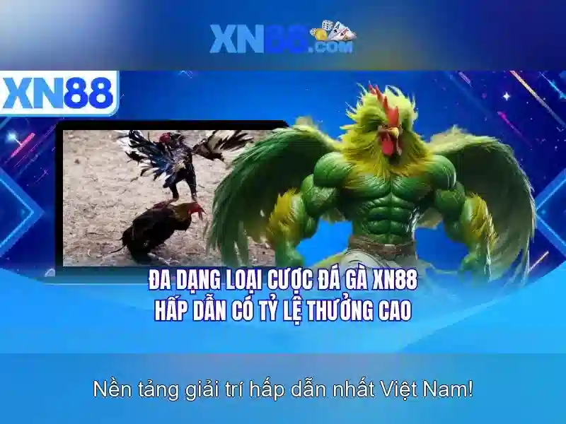xn88: Gioi thieu va danh gia nen tang the thao truc tuyen