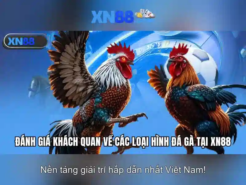 xn88: Nền tảng cược trực tuyến và trò chơi tiện ích