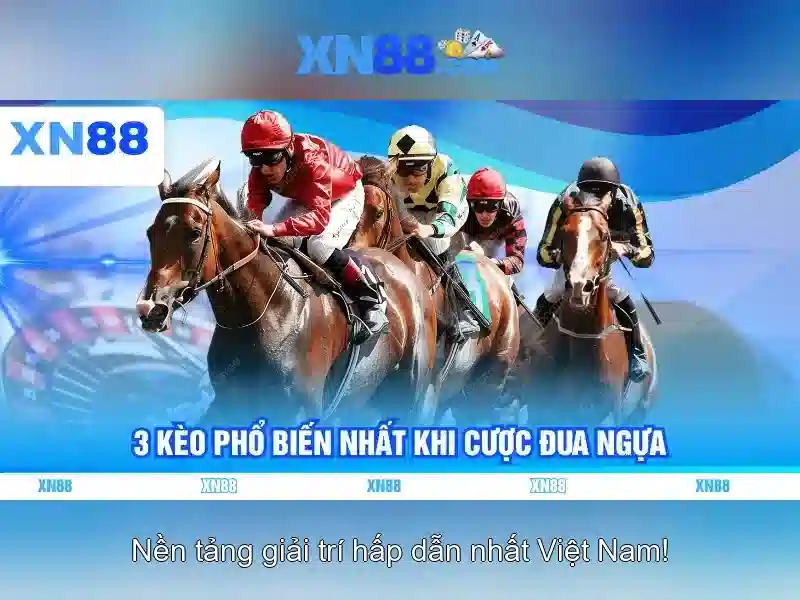 Giới thiệu xn88 và những điều cần biết