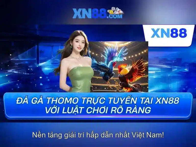 xn88: Nền tảng cá cược trực tuyến và đánh giá