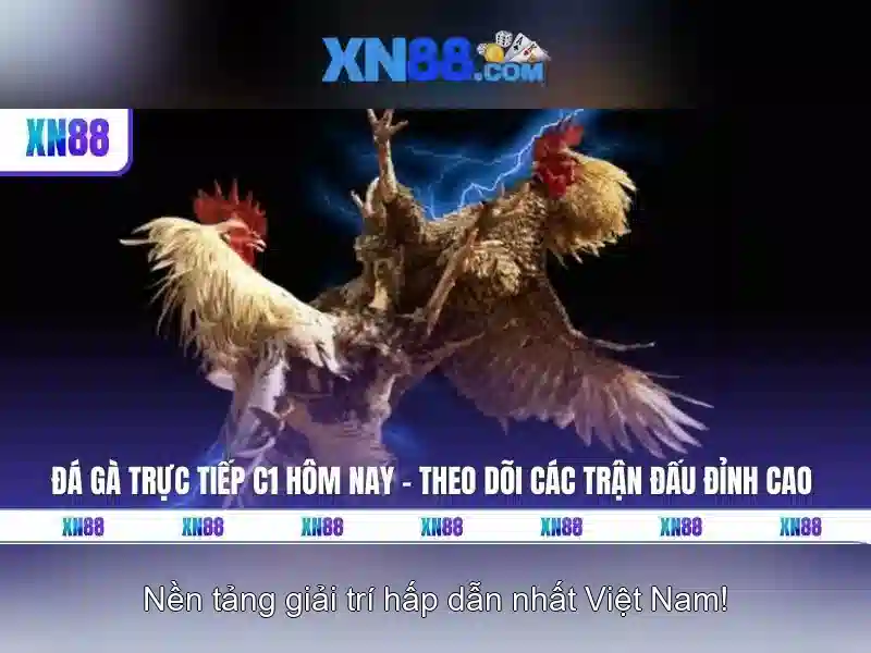 Cách hoạt động và loại hình trò chơi