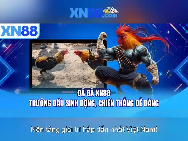 xn88: Tổng quan về một nền tảng trực tuyến