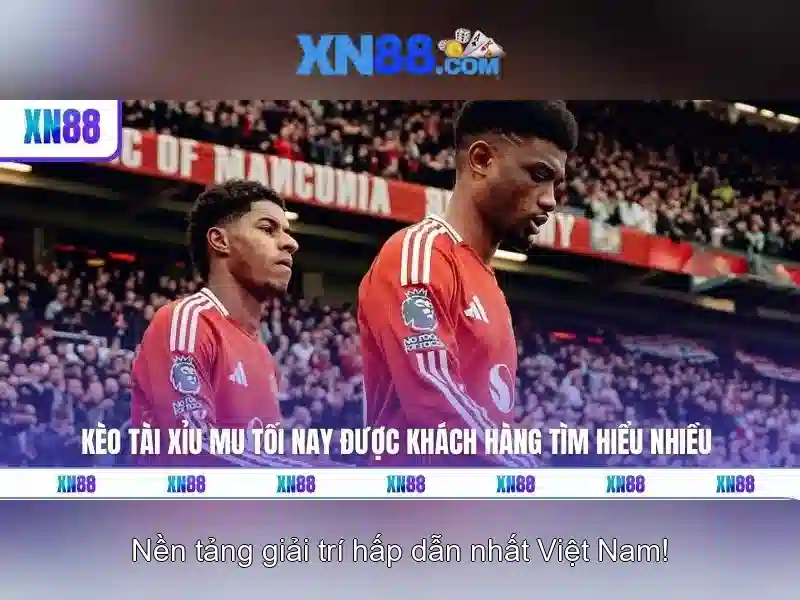 Một cái nhìn tổng quan về xn88