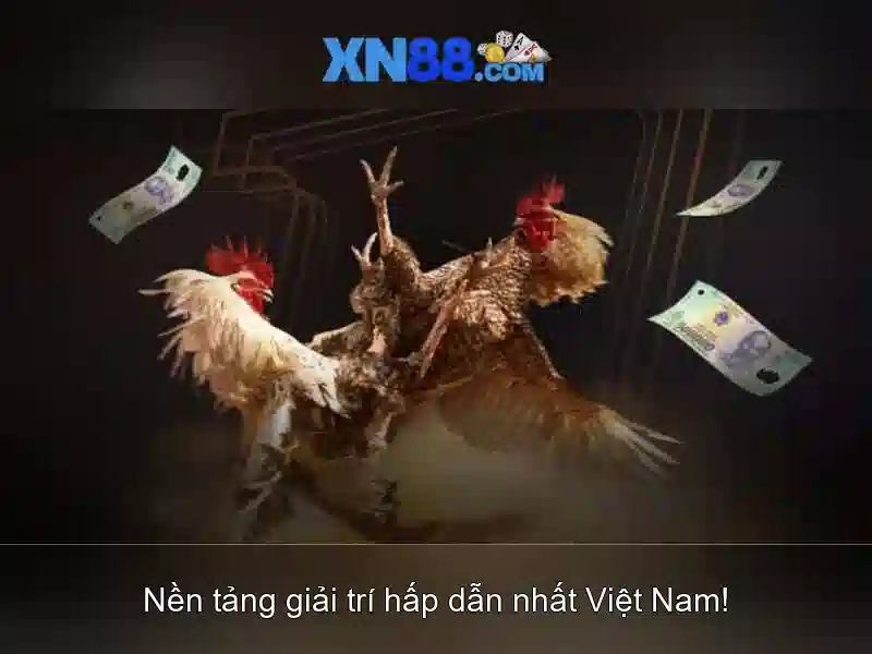 Banner khuyến mãi hấp dẫn dành cho thành viên mới đăng ký tại xn88