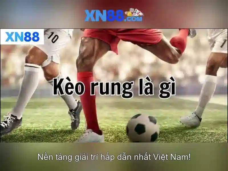 Lịch sử và sự phát triển