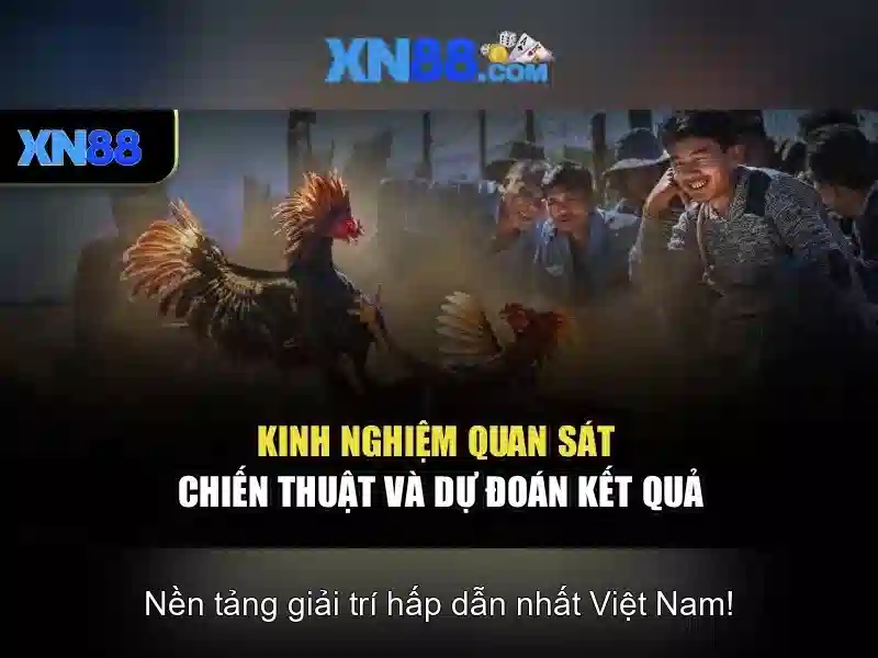Kinh nghiệm chơi và lưu ý