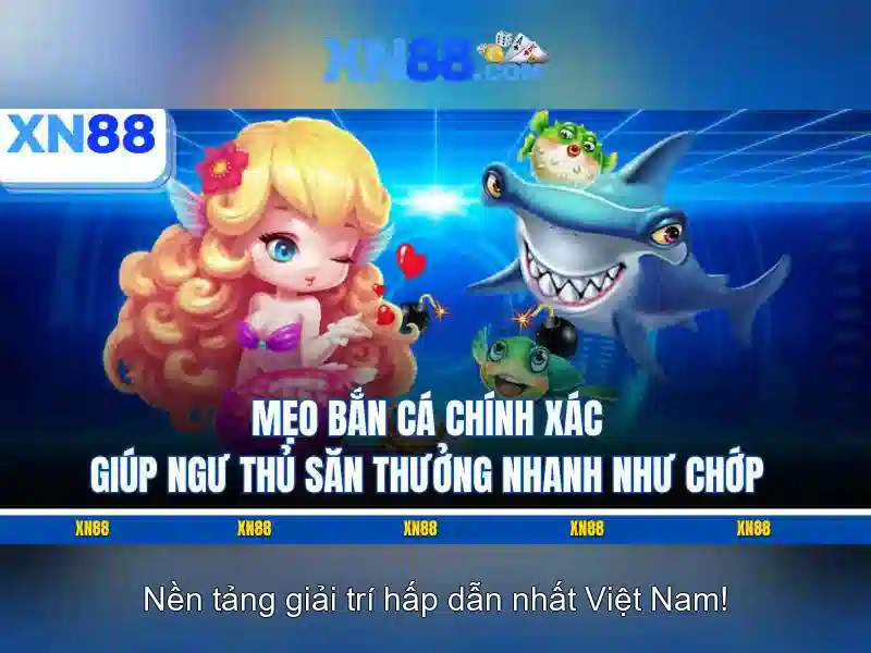 Nền tảng và giao diện người dùng