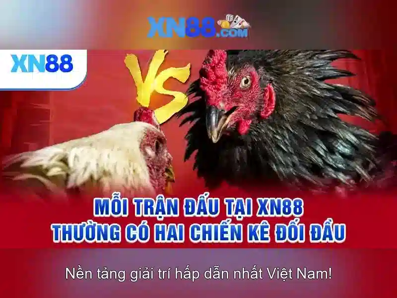 Giới thiệu về xn88