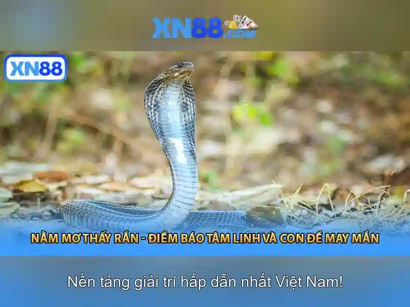 xn88: Giới thiệu và hướng dẫn cơ bản