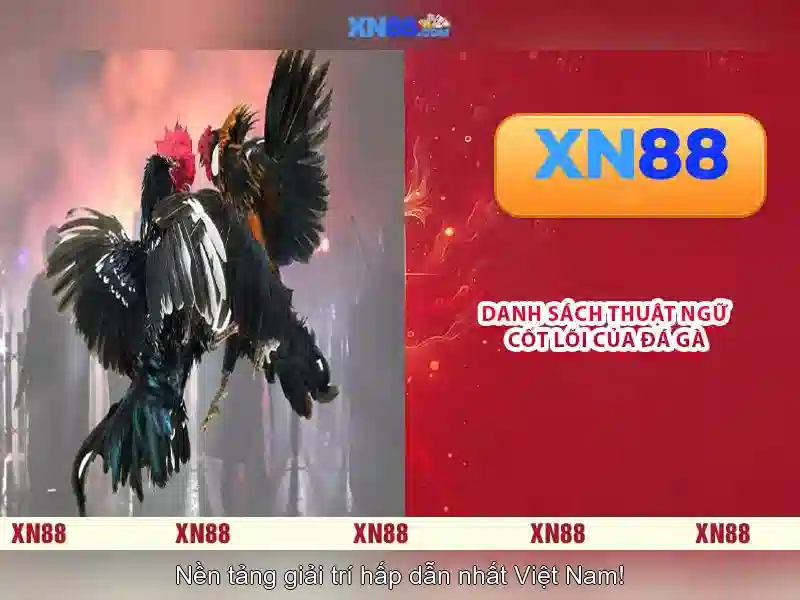 XN88: Tổng quan về nền tảng cược và giải trí trực tuyến