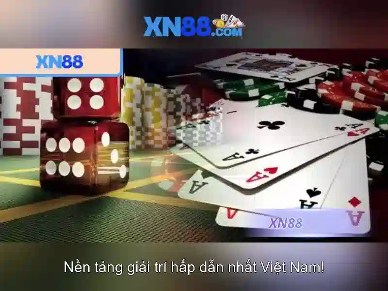 Kết luận về xn88