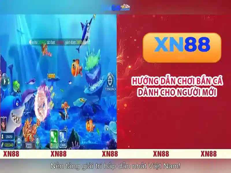 Giới thiệu về xn88