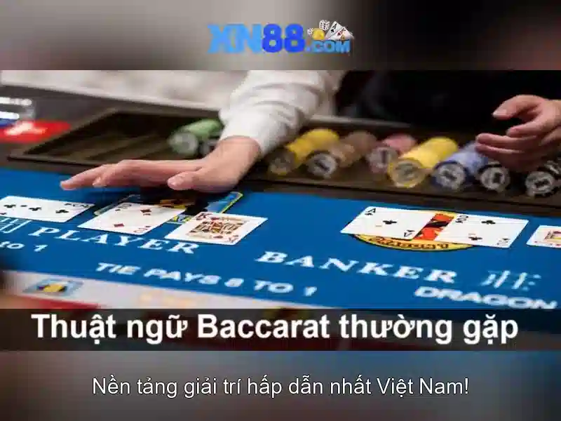 xn88: Đánh giá nền tảng cá cược trực tuyến uy tín