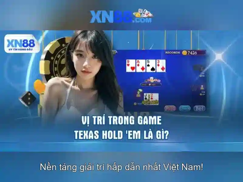Tổng kết và triển vọng