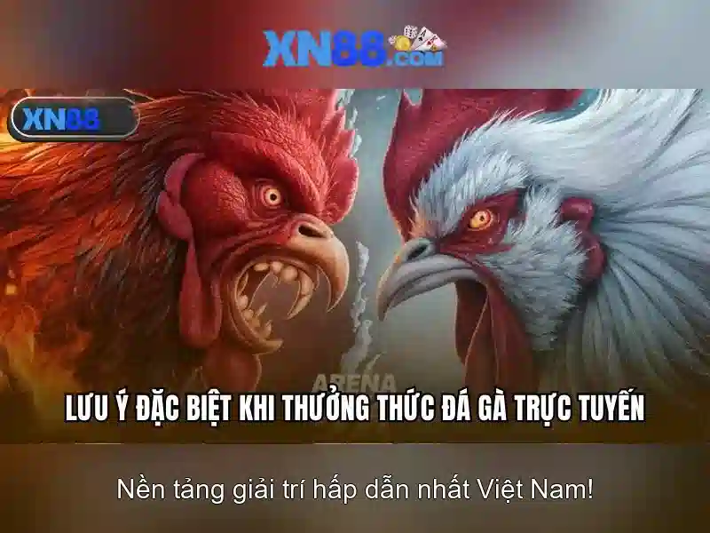 Giới thiệu xn88