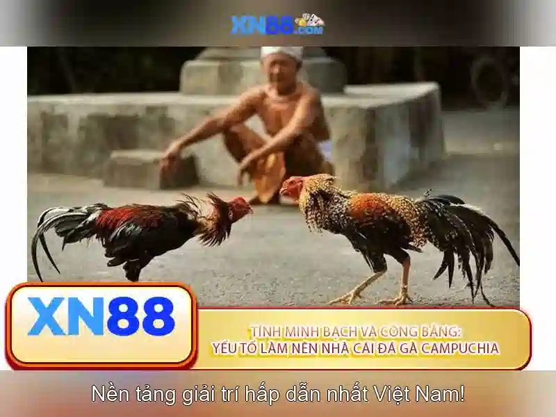 XN88: Cổng cá cược trực tuyến uy tín tại Việt Nam